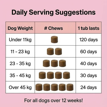Skin & Itch Relief Chews – 120 Tasty Treats