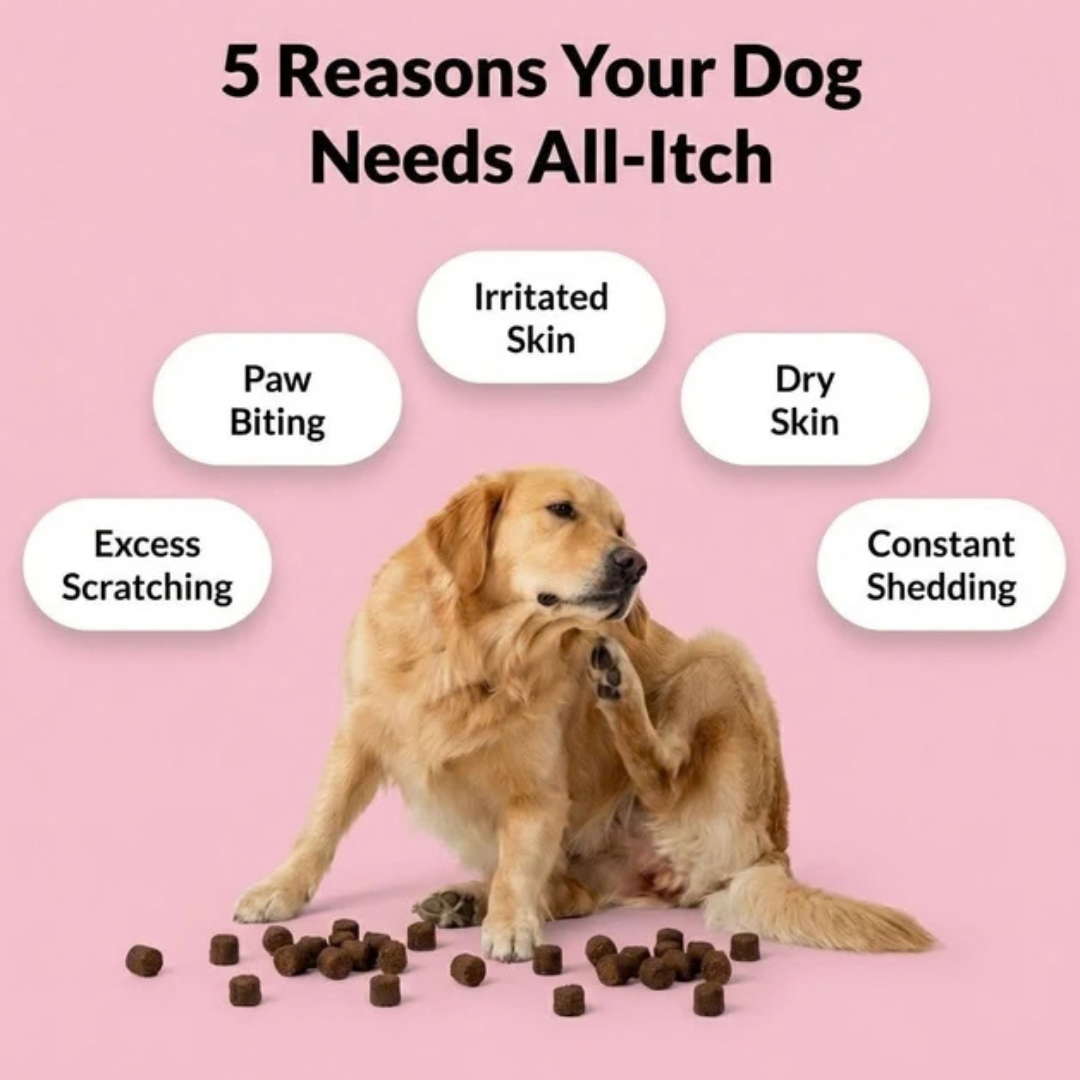 Skin & Itch Relief Chews – 120 Tasty Treats