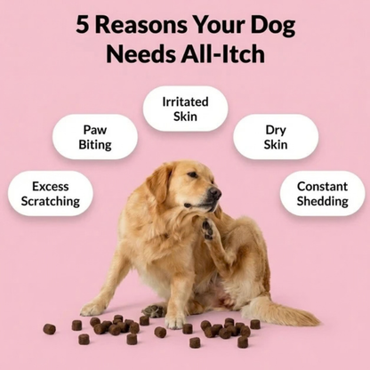 Skin & Itch Relief Chews – 120 Tasty Treats