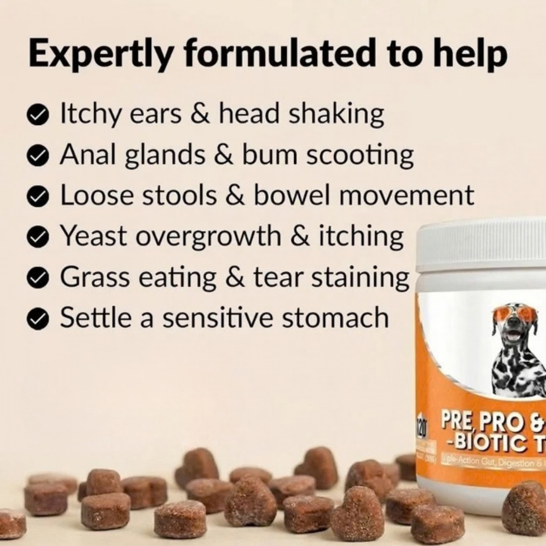 Gut, Immunity & Digestion - 120 Triple-Biotic Treats