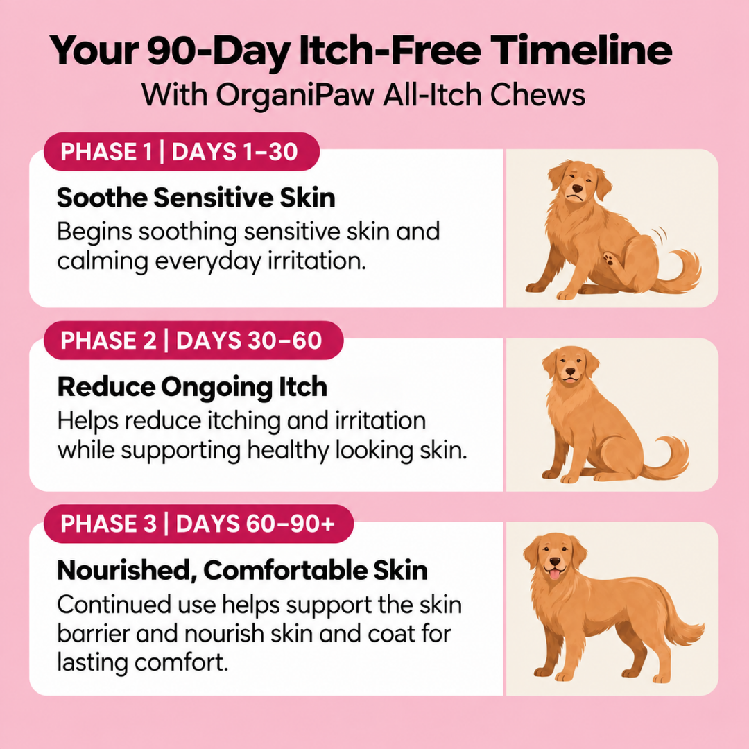 Skin & Itch Relief Chews – 120 Tasty Treats