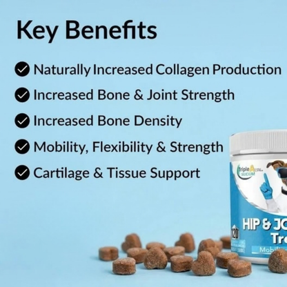 Joint, Hip & Spine – Powered By Kynosil®