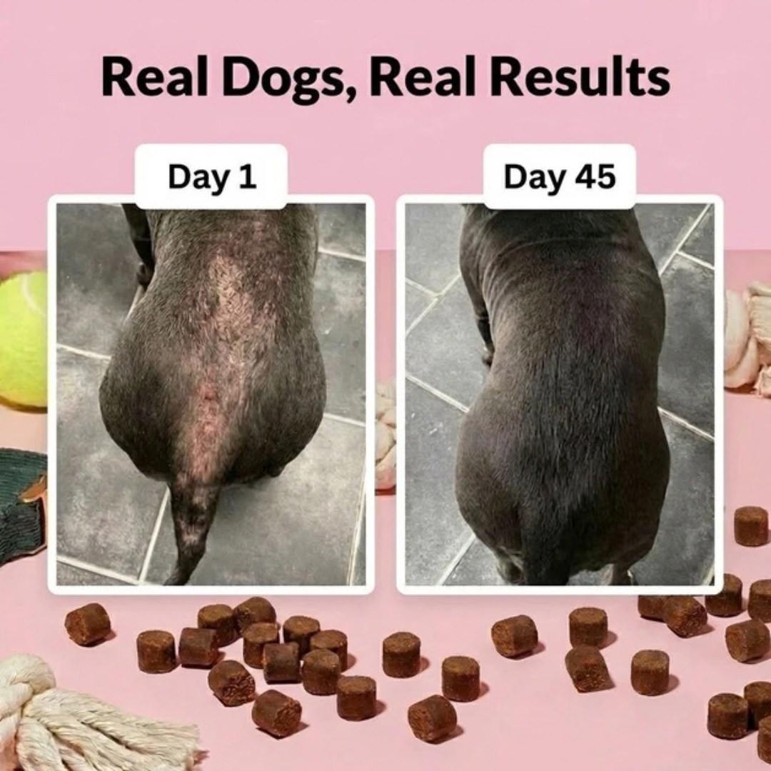 Skin & Itch Relief Chews – 120 Tasty Treats