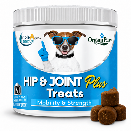 Joint, Hip & Spine – Powered By Kynosil®
