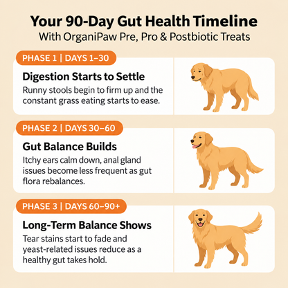 Gut, Immunity & Digestion - 120 Triple-Biotic Treats
